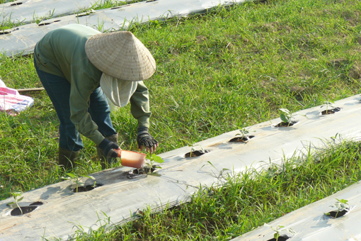 Kỳ Sơn thành công trong xây dựng nông thôn mới 